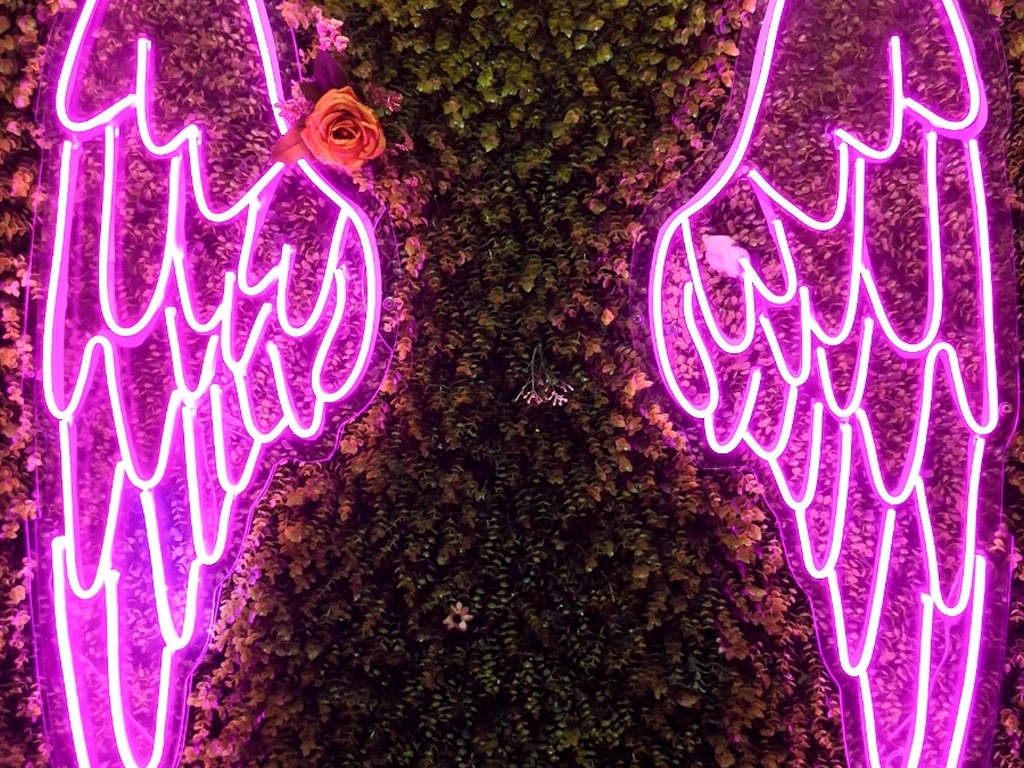 Foto establecimiento 2