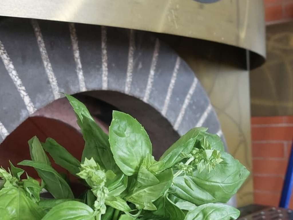 Foto establecimiento 5