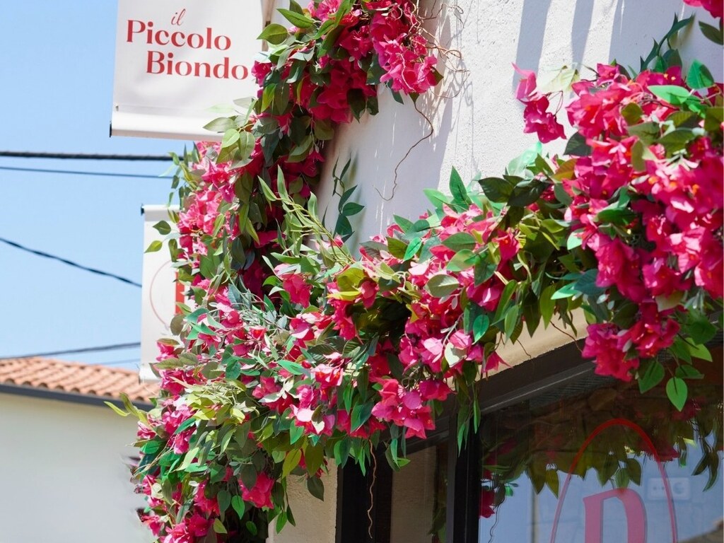 Foto establecimiento 1