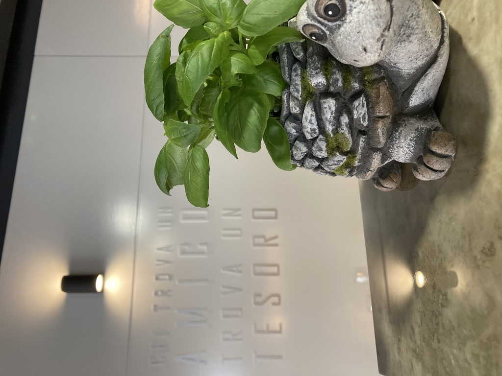 Foto establecimiento 3