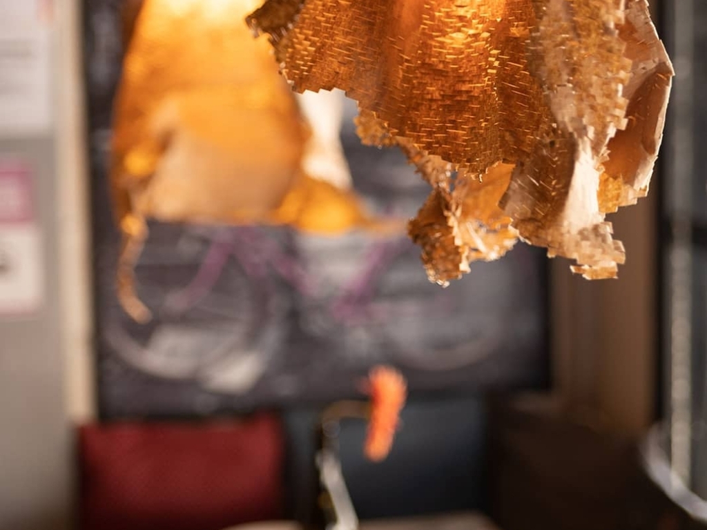 Foto establecimiento 5